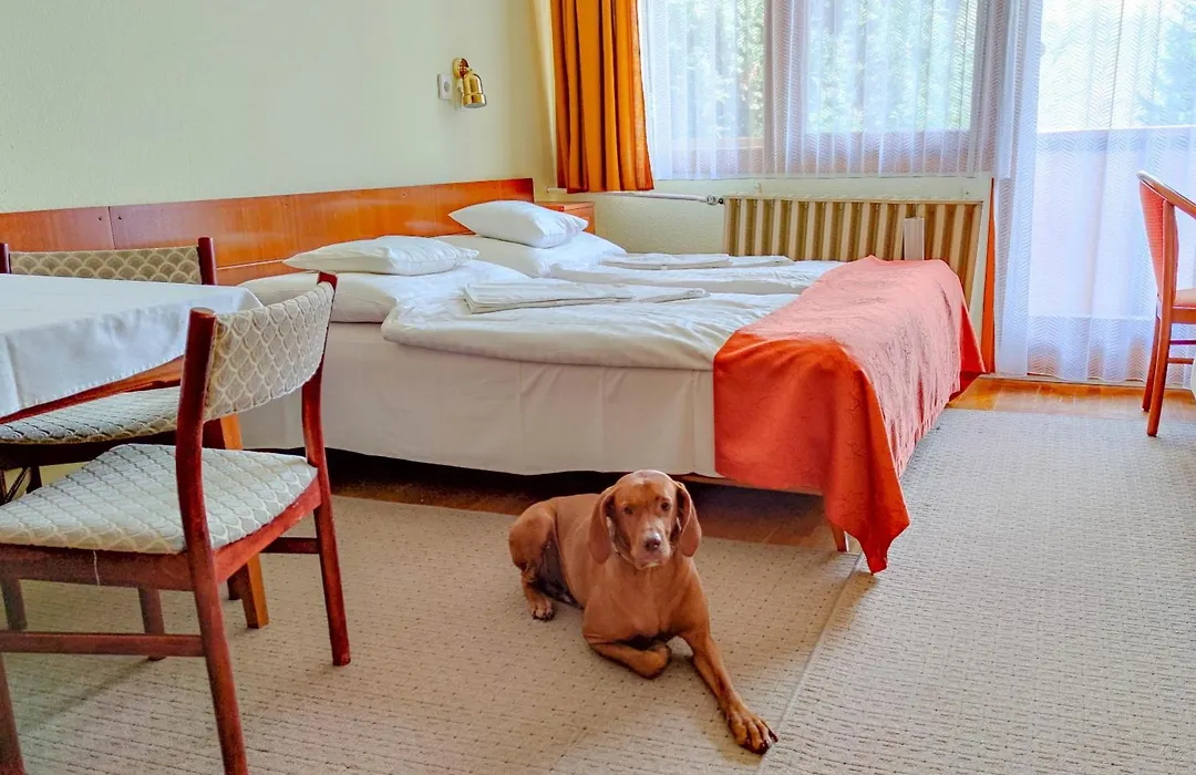 Apartman Hotel-1